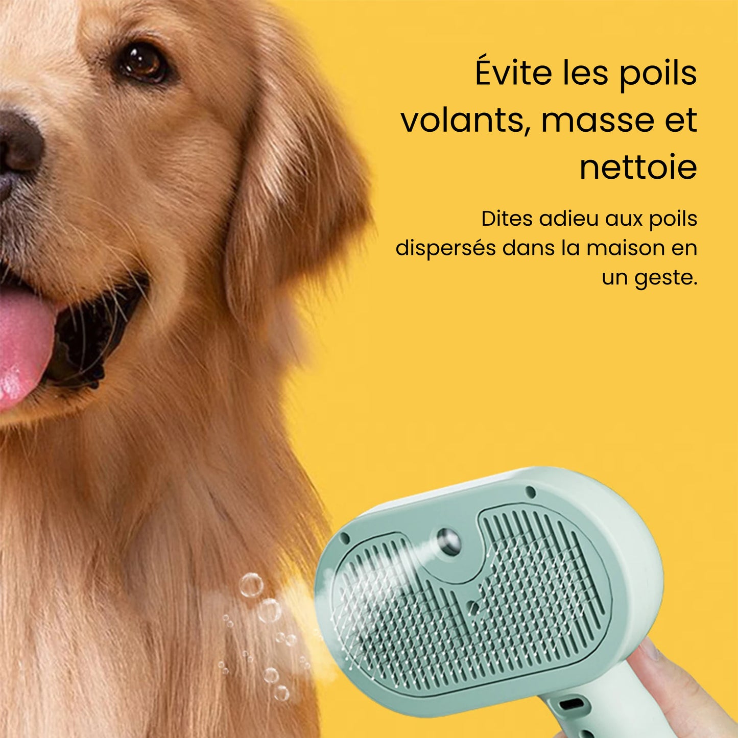 SteamBrush™