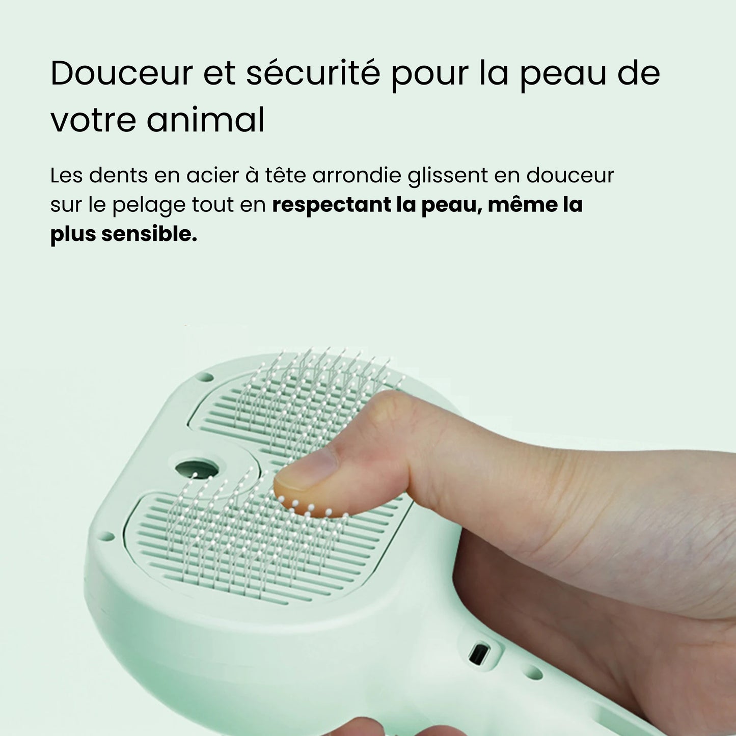 SteamBrush™