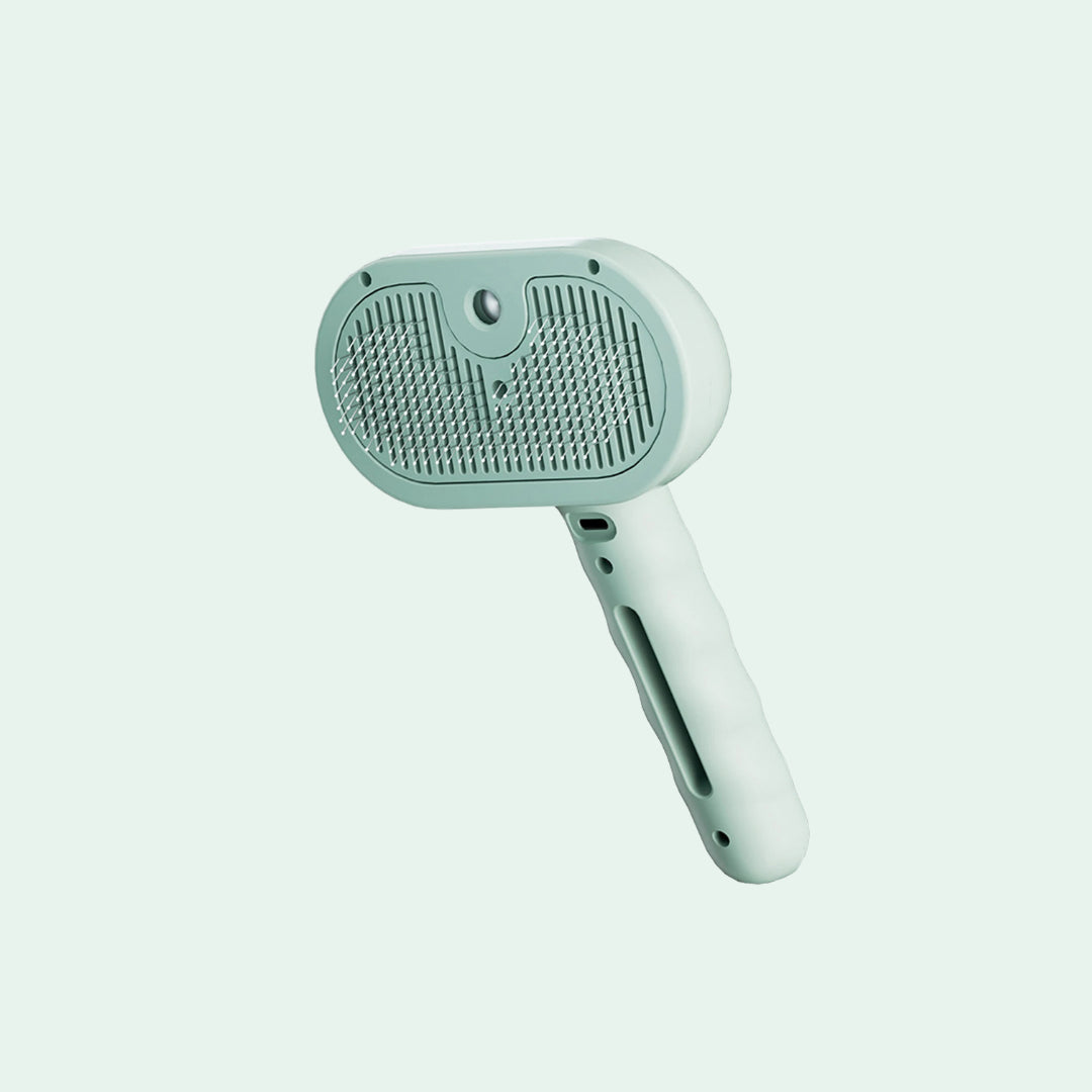 SteamBrush™