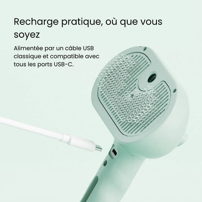 SteamBrush™