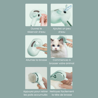 SteamBrush™