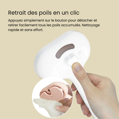 SteamBrush™