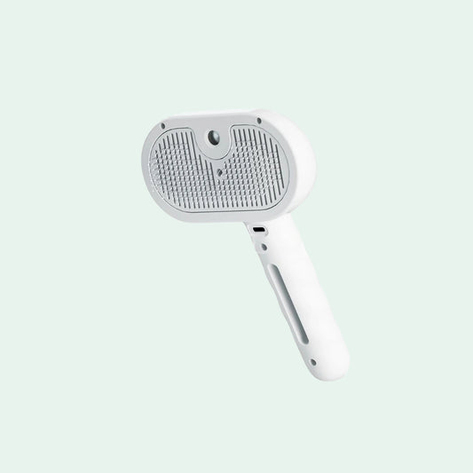 SteamBrush™